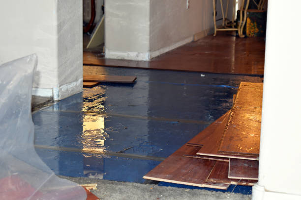 Professional Water Damage Restoration technician working in Delphos, OH